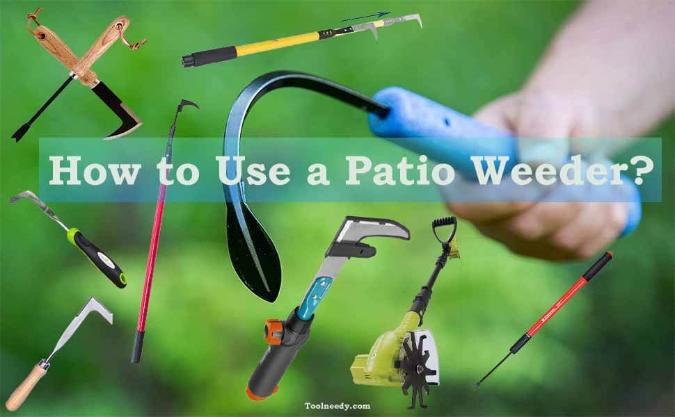 How to Use a Patio Weeder