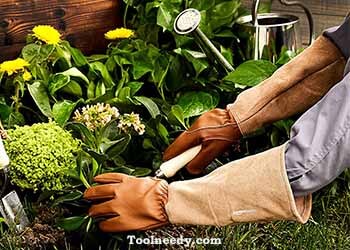 Amazon Basics Leather Gardening Gloves