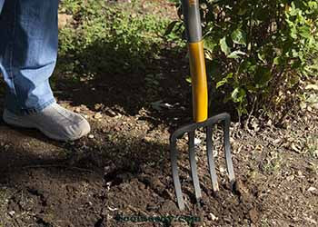True Temper must have gardening tools Digging Fork